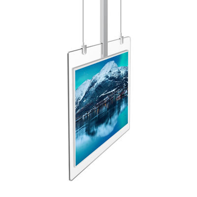 Le Super Slim parquettent l'affichage bilatéral debout 43Inch transparent du Signage OLED de Digital